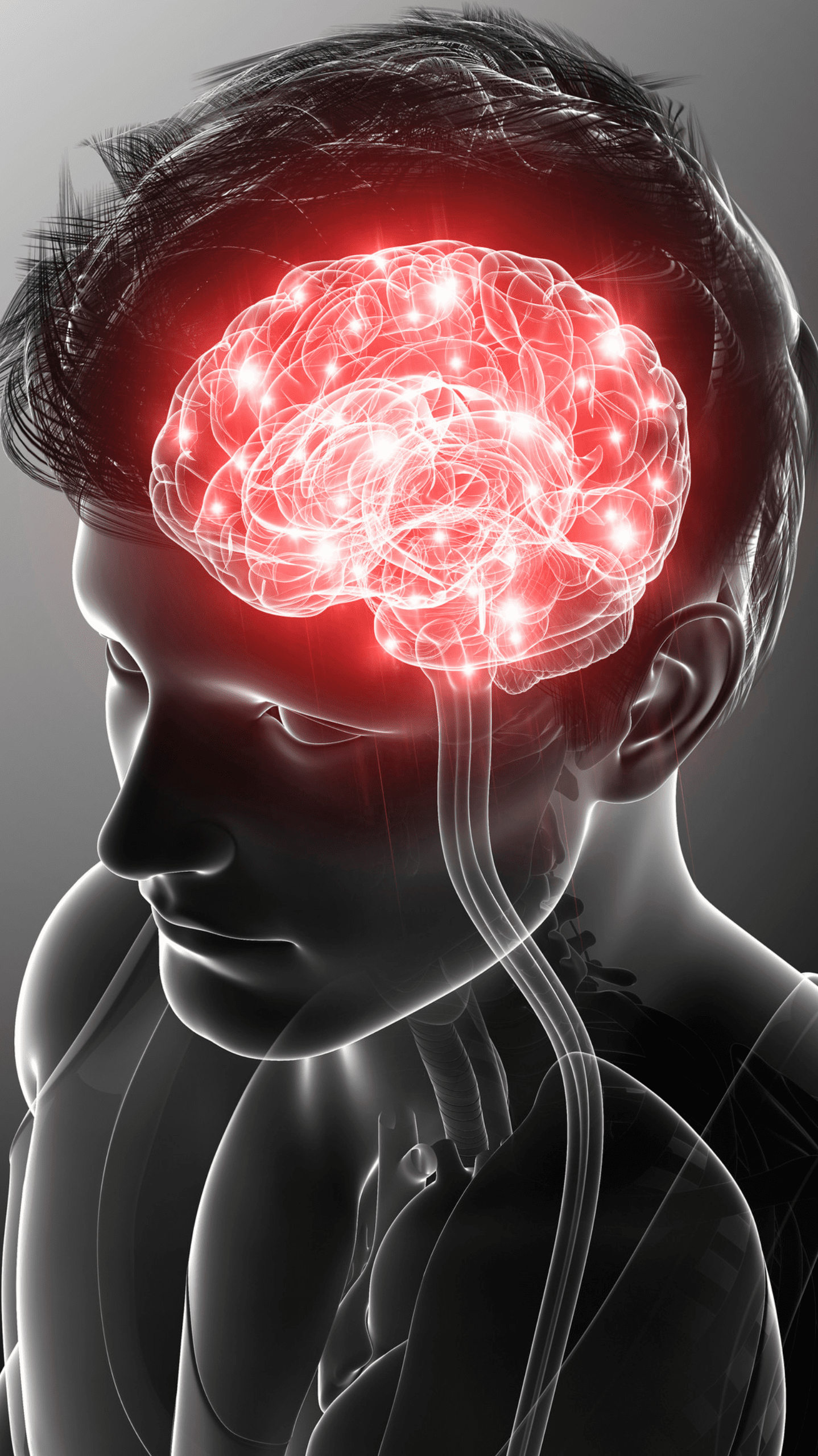 Nootropics That Target Mental Fatigue And Brain Fog
